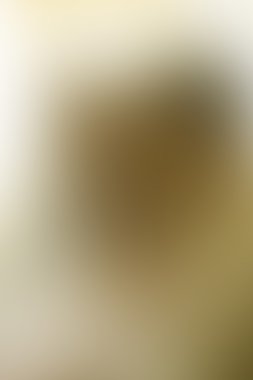 Анотація золотому фоні розкішних різдвяні свята або блідо-весільн