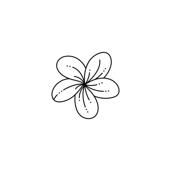 Frangipani Flor em um estilo de forro minimalista na moda. Vetor Tropical Plumeria Flor Ilustração —  Vetores de Stock