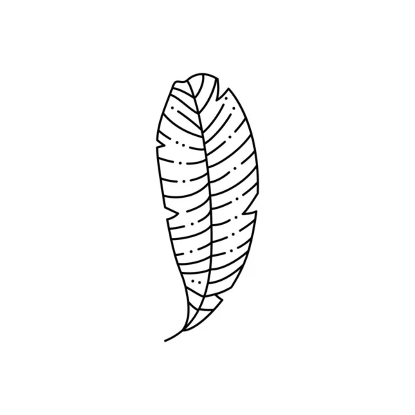 Hoja de palma tropical en un estilo minimalista moderno. Ilustración vectorial — Archivo Imágenes Vectoriales