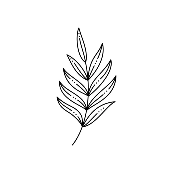 Hoja de palma tropical en un estilo minimalista moderno. Ilustración vectorial — Archivo Imágenes Vectoriales