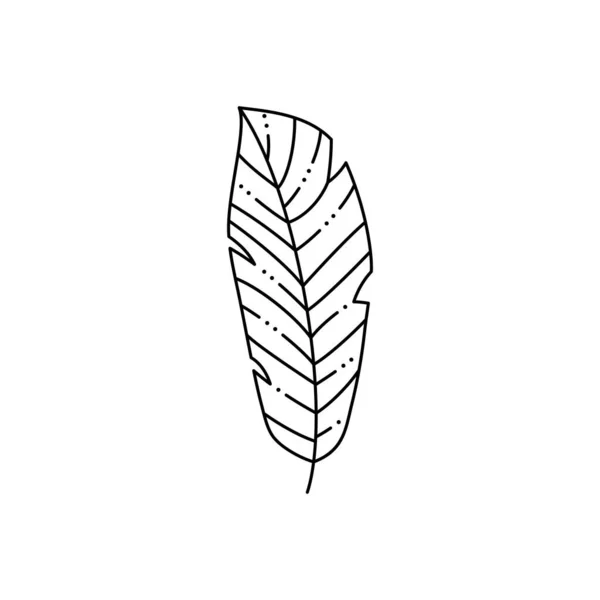 Feuille de palmier tropicale dans un style minimaliste de doublure à la mode. Illustration vectorielle — Image vectorielle