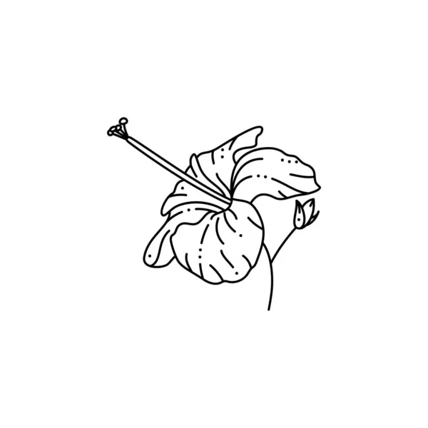 トレンディーなミニマリストライナースタイルのハイビスカスの花。ベクトルトロピカルフラワーイラスト — ストックベクタ