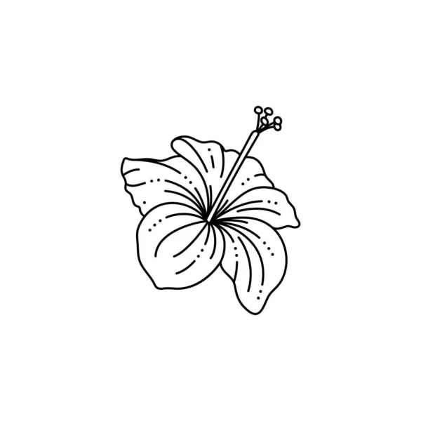 トレンディーなミニマリストライナースタイルのハイビスカスの花。ベクトルトロピカルフラワーイラスト — ストックベクタ