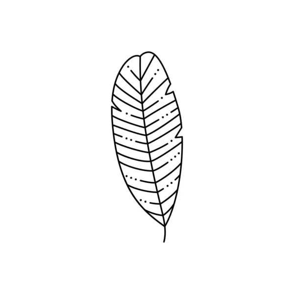 Hoja de palma tropical en un estilo minimalista moderno. Ilustración vectorial — Archivo Imágenes Vectoriales