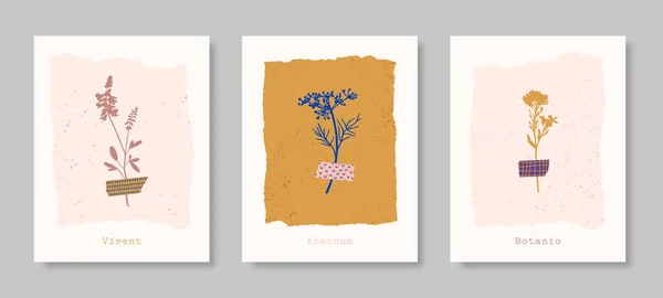 Set de fondos florales abstractos en estilo contemporáneo. Vector Botanical Illustrations. Flores silvestres pegadas a la cinta Ilustración De Stock