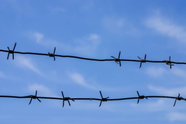 Mavi gökyüzüne karşı dikenli tel yakın plan. Seçici odak.