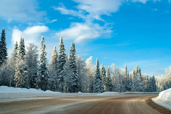 Pista Invernale Nella Taiga Siberiana Una Giornata Soleggiata Gelida Salita — Foto Stock