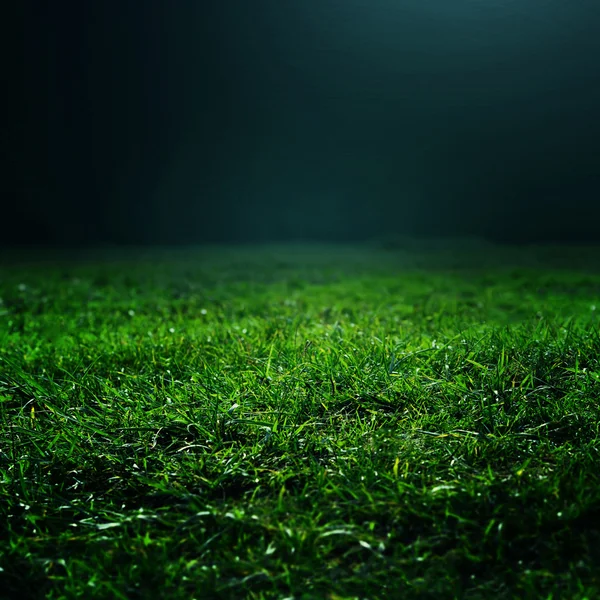 Naturligt grönt gräs bakgrund — Stockfoto