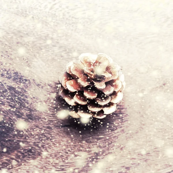 Christmas festive  pinecone — Stock Photo, Image