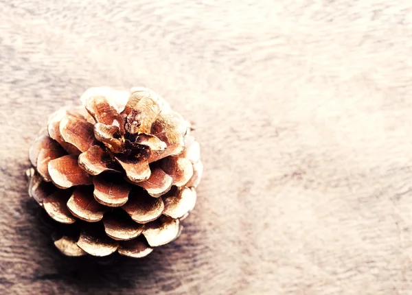 Christmas festive  pinecone — Stock Photo, Image