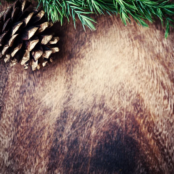 Weihnachten festliche Tannenzapfen — Stockfoto