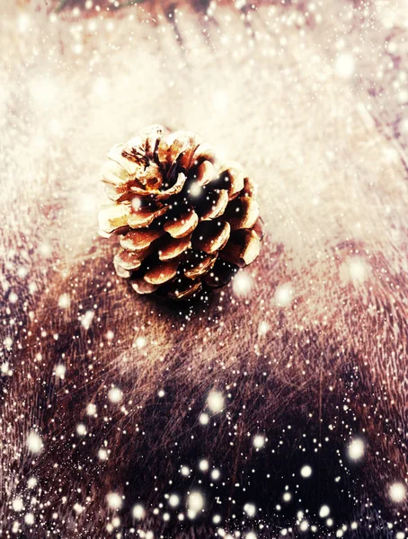 Christmas festive  pinecone — Stock Photo, Image