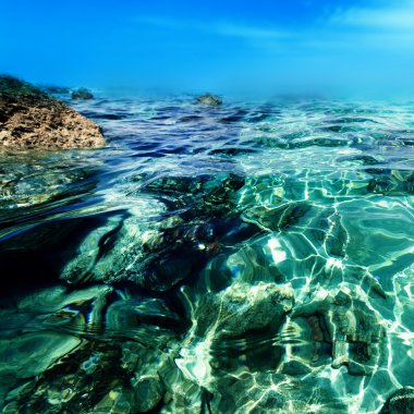 Denizin sualtı manzarası