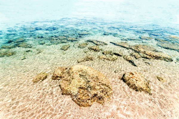 海の水面下で — ストック写真