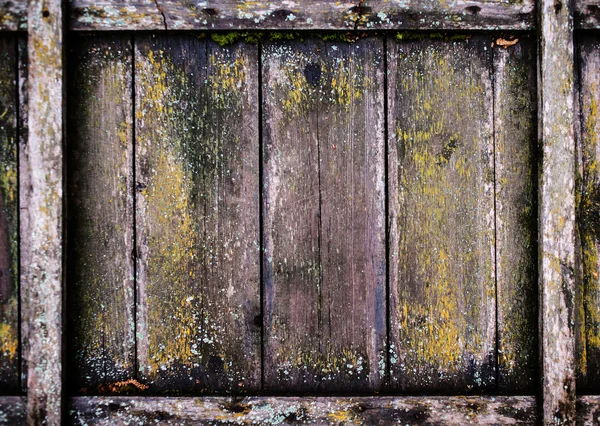 Wooden wall background. Old wood backdrop. Vintage wooden panel, — Stockfoto
