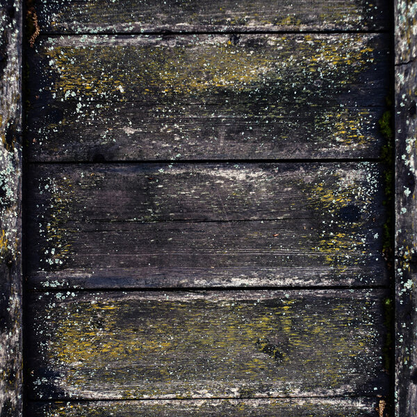 Wooden wall background. Old wood backdrop. Vintage wooden panel,