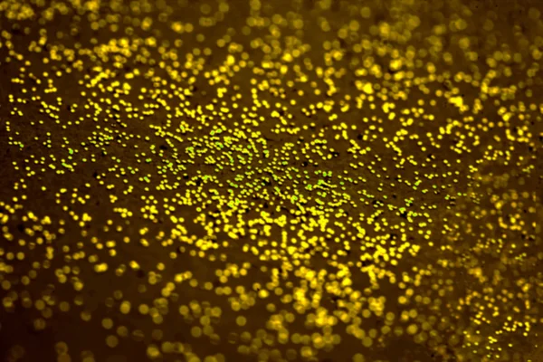 Темно-золотий блиск. Абстрактний різдвяний магічний фон — стокове фото