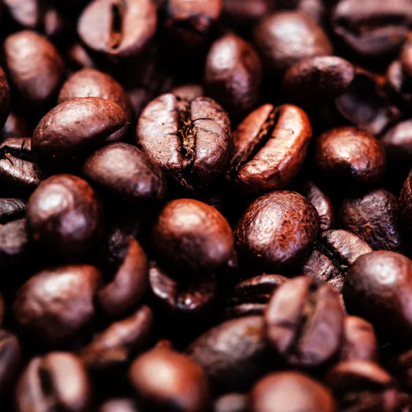 Roasted coffee beans — Stock Photo, Image