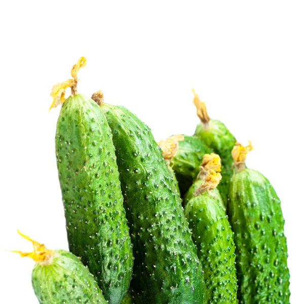 Comida saludable. Los pepinos verdes — Foto de Stock