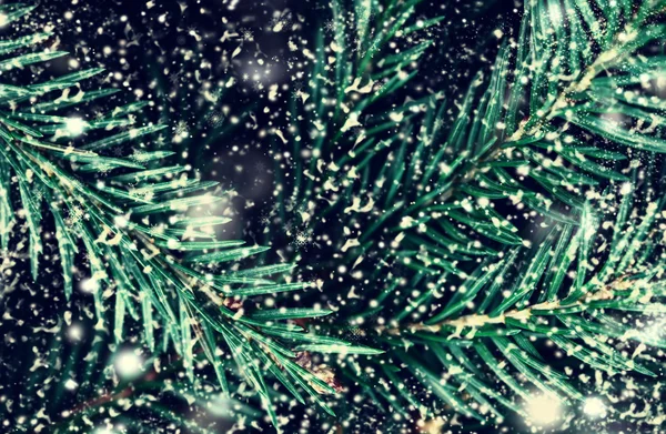 Fondo del árbol de Navidad con copos de nieve —  Fotos de Stock