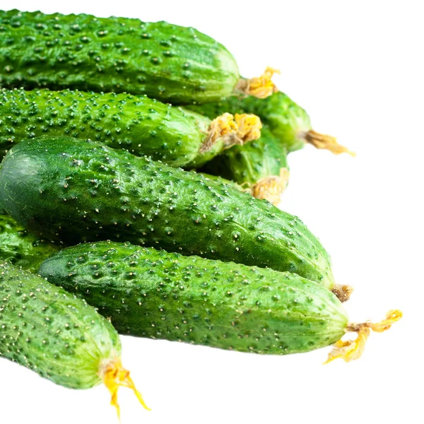 Fresh raw Cucumbers — Stock Photo, Image