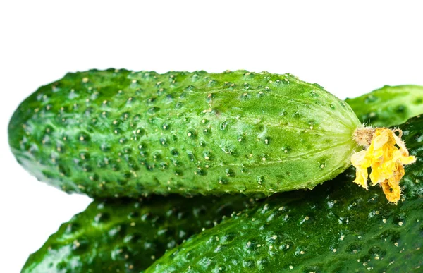 Fresh raw Cucumbers — Stock Photo, Image