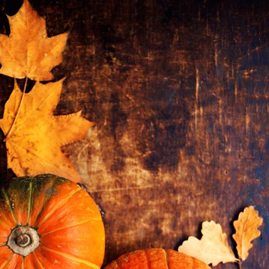 Ahşap masa üzerinde sonbahar kabaklar, 