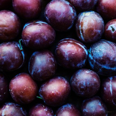 Koyu ahşap doku üzerinde taze Erik