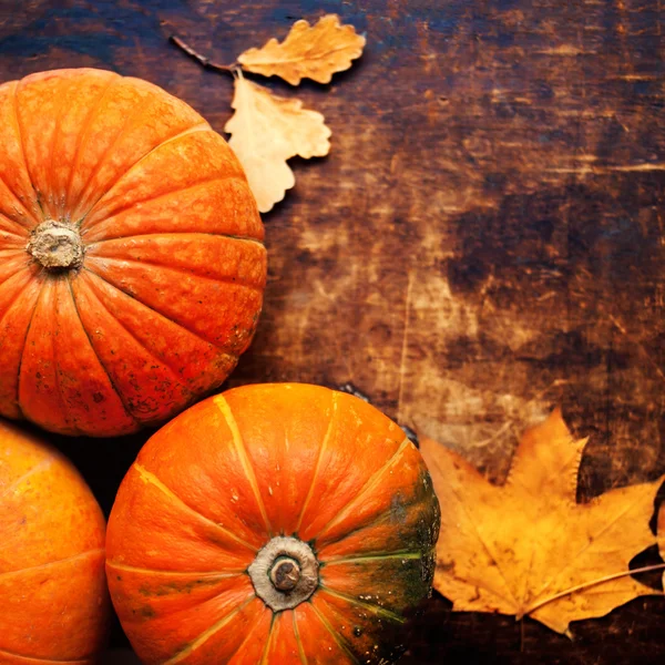 Abóboras de outono sobre mesa de madeira , — Fotografia de Stock