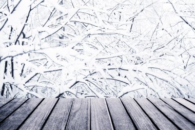Noel ağacı dalları önünde tablo