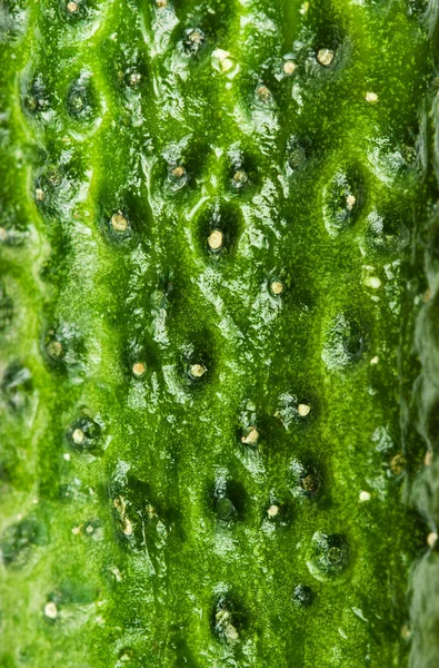 Zelené okurky textury — Stock fotografie