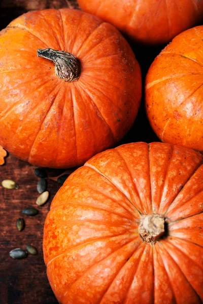 Assortiment van najaar pompoenen. — Stockfoto