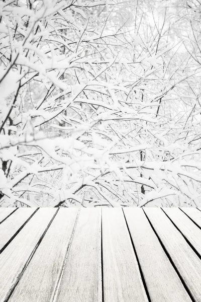 Zimní les s dřevěnou deskou. — Stock fotografie