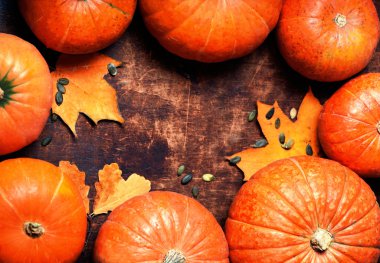 kabaklar ve altın yaprağı