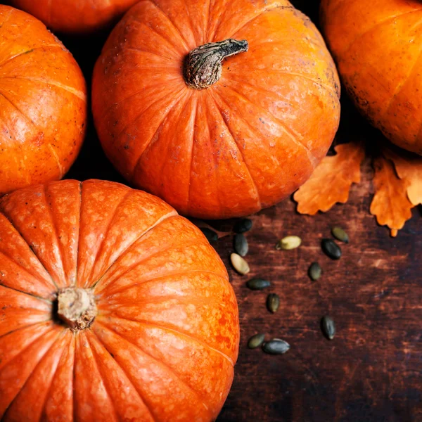 Güz Pumpkins Şükran günü arka plan — Stok fotoğraf