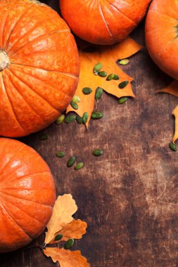 Güz Pumpkins Şükran günü arka plan