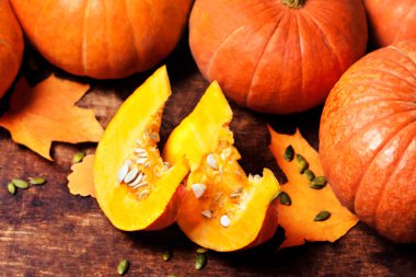 Kabak parçaları, tohum ve yaprakları ile