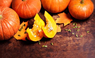 Kabak parçaları, tohum ve yaprakları ile