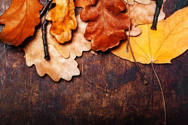 가을 잎으로 뒤덮인 배경. — 스톡 사진