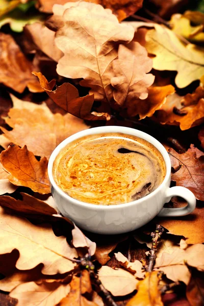 Bladeren en kopje zwarte koffie — Stockfoto