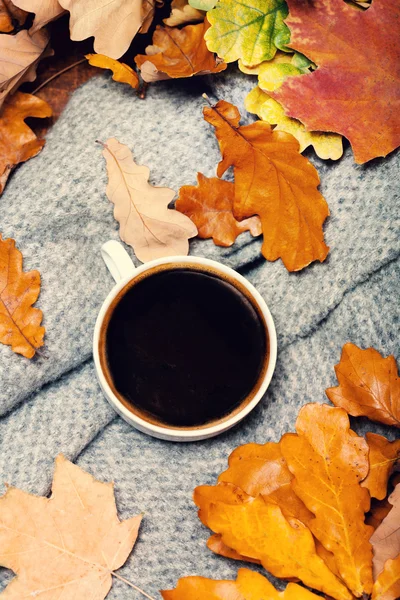 Filiżanka kawy na jesień kolorowy liść — Zdjęcie stockowe
