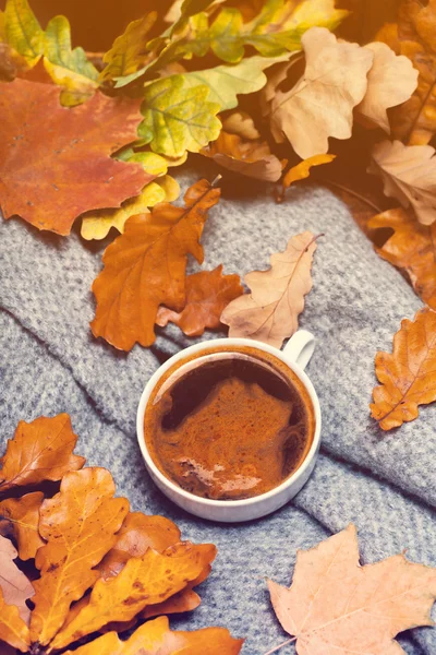 Xícara de café durante o outono folhas coloridas — Fotografia de Stock