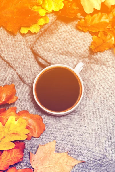 Xícara de café durante o outono folhas coloridas — Fotografia de Stock