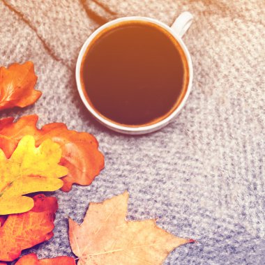 kahve fincanı üzerinde renkli sonbahar yaprakları 