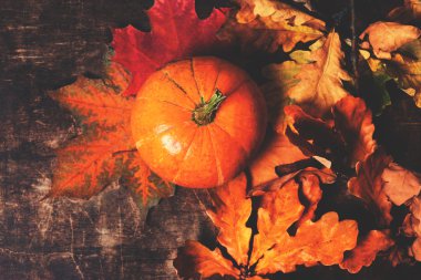 balkabağı ve sonbahar yaprakları 