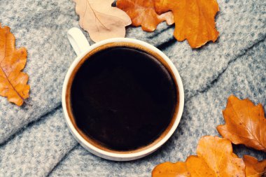 kahve fincanı üzerinde renkli sonbahar yaprakları 