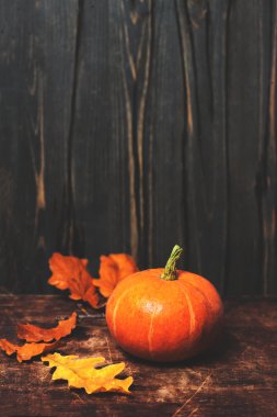  balkabağı ve sonbahar yaprakları