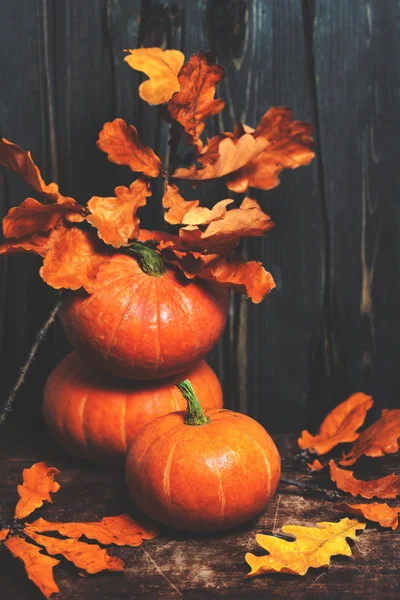 Pompoenen en herfstbladeren — Stockfoto