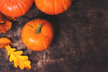 kabaklar ve sonbahar yaprakları 