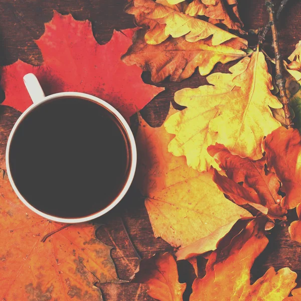Leaves and cup of black coffee — Stock Photo, Image